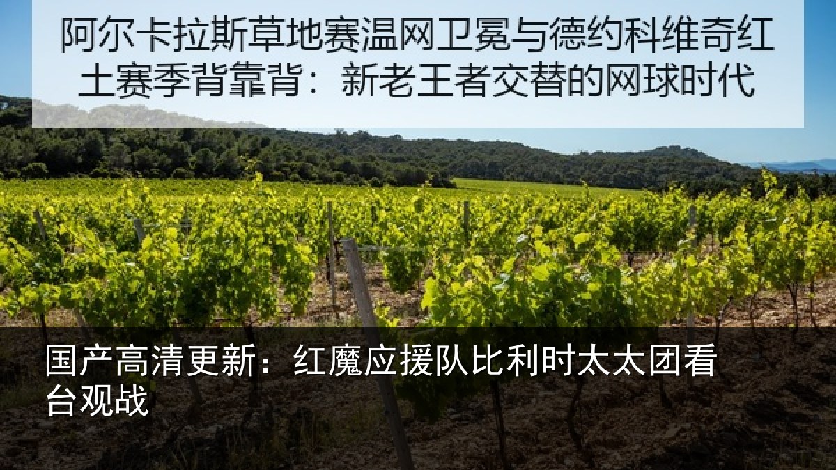 国产高清更新：红魔应援队比利相关情况
