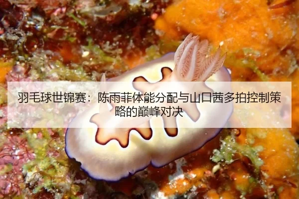 羽毛球世锦赛：陈雨菲体能分配与山口茜多拍控制策略的巅峰对决