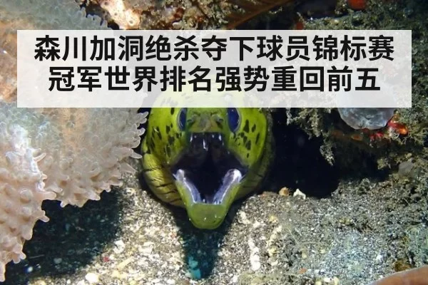 森川加洞绝杀夺下球员锦标赛冠军世界排名强势重回前五